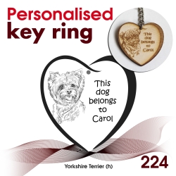 224 - Yorkshire Terrier (h)