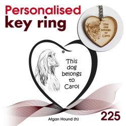 225 - Afgan Hound (h)