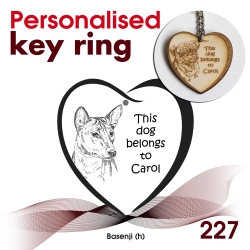 227 - Basenji (h)