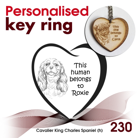 230 - Cavalier King Charles Spaniel (h)