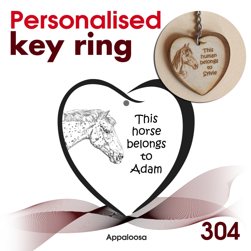 304 - Appaloosa