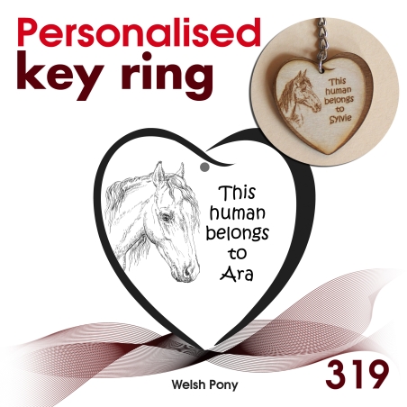 319 - Welsh Pony