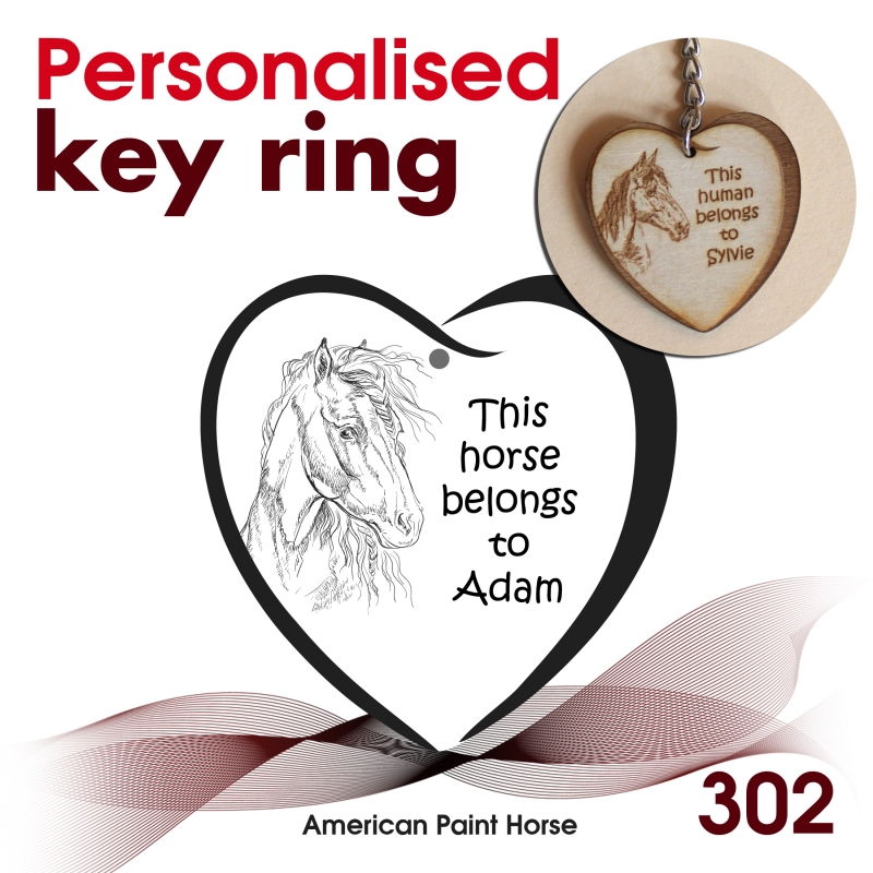 302 - American Paint