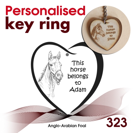323 - Anglo-Arabian Foal