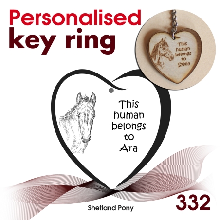 332 - Shetland Pony