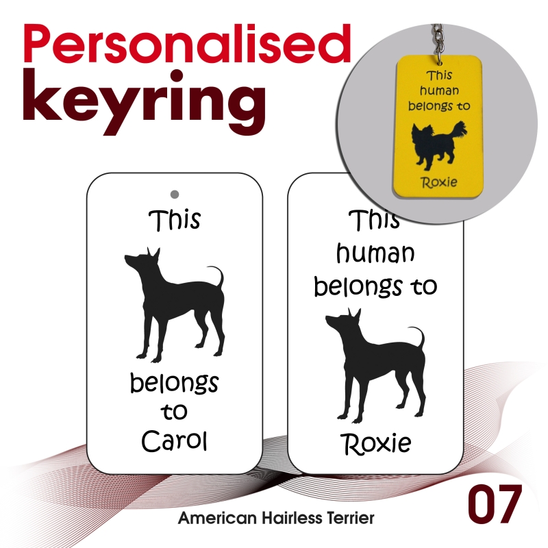 007 - American Hairless Terrier