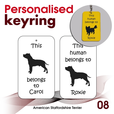 008 - American Staffordshire Terrier