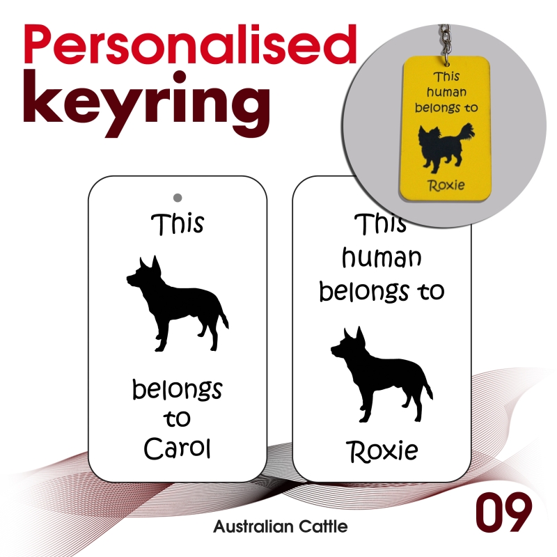 009 - Australian Cattle