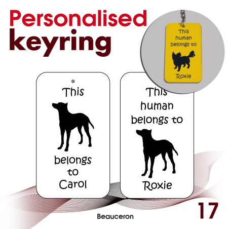 017 - Beauceron