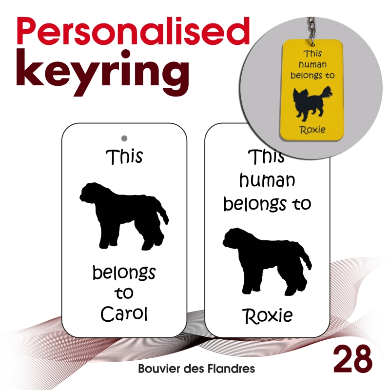 028 - Bouvier des Flandres