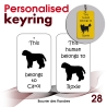 028 - Bouvier des Flandres