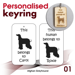 001 - Afghan Greyhound