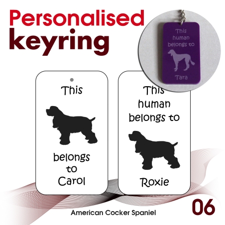006 - American Cocker Spaniel