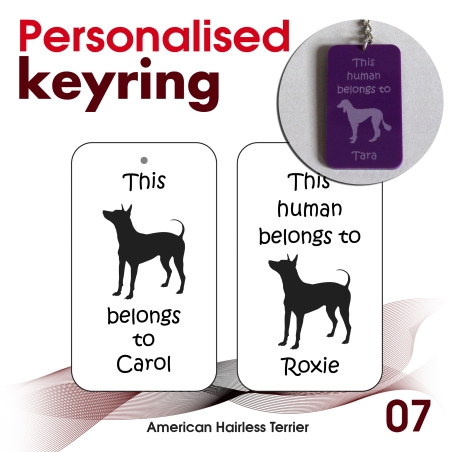 007 - American Hairless Terrier