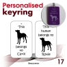 017 - Beauceron