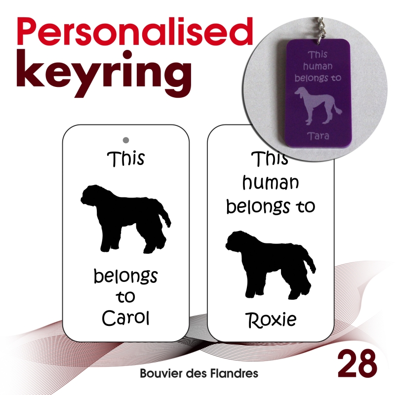 028 - Bouvier des Flandres