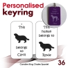 036 - Cavalier King Chales Spaniel