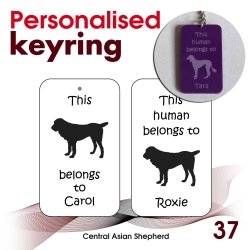 037 - Central Asian...
