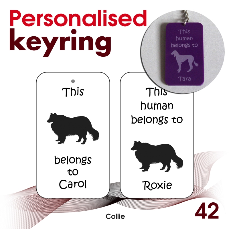 042 - Collie