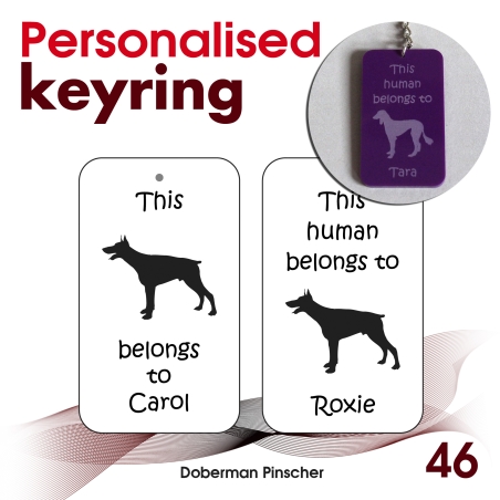 046 - Doberman Pinscher