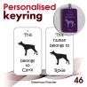 046 - Doberman Pinscher