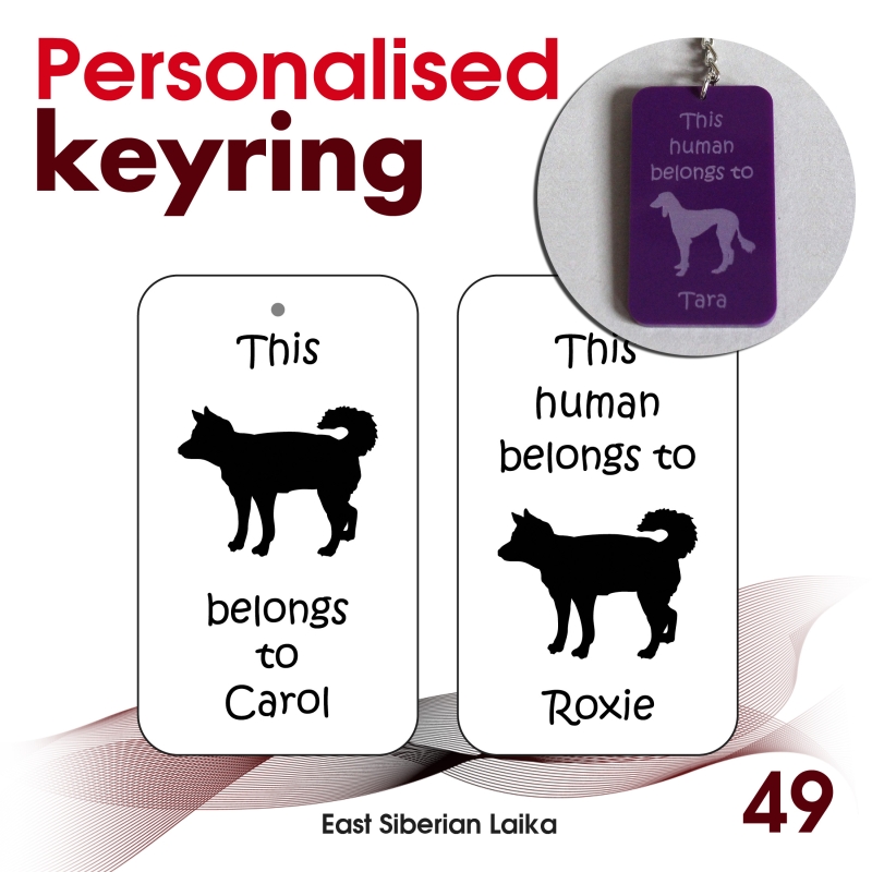 049 - East Siberian Laika