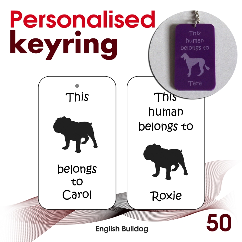 050 - English Bulldog