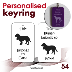 054 - Field Spaniel