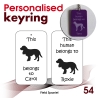 054 - Field Spaniel