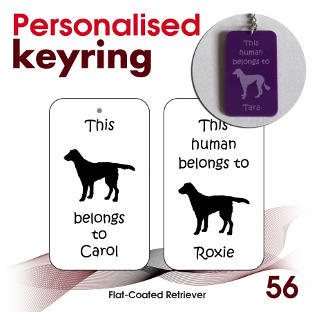 056 - Flat-Coated Retriever