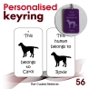 056 - Flat-Coated Retriever