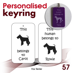 057 - Fox Terrier