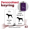063 - German Shorthaired Pointer