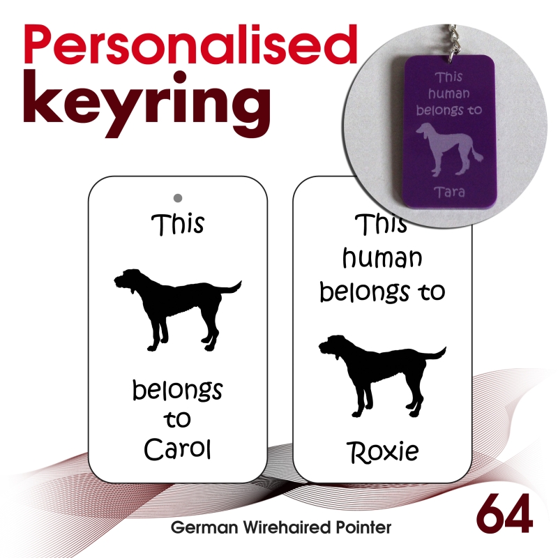 064 - German Wirehaired Pointer