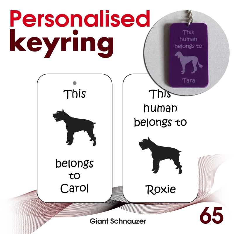 065 - Giant Schnauzer