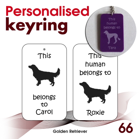 066 - Golden Retriever