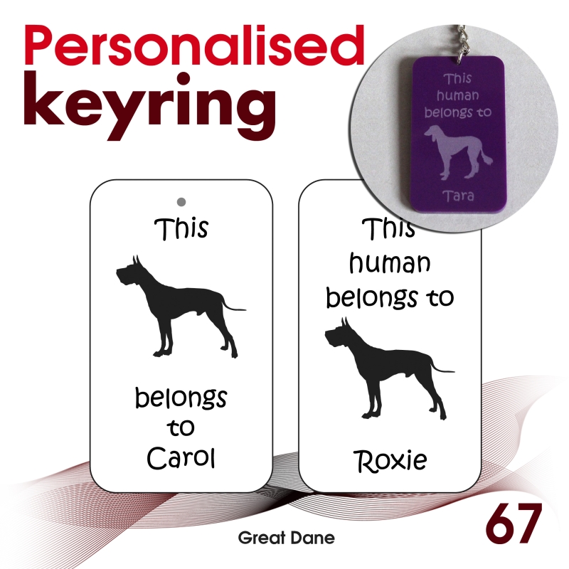 067 - Great Dane