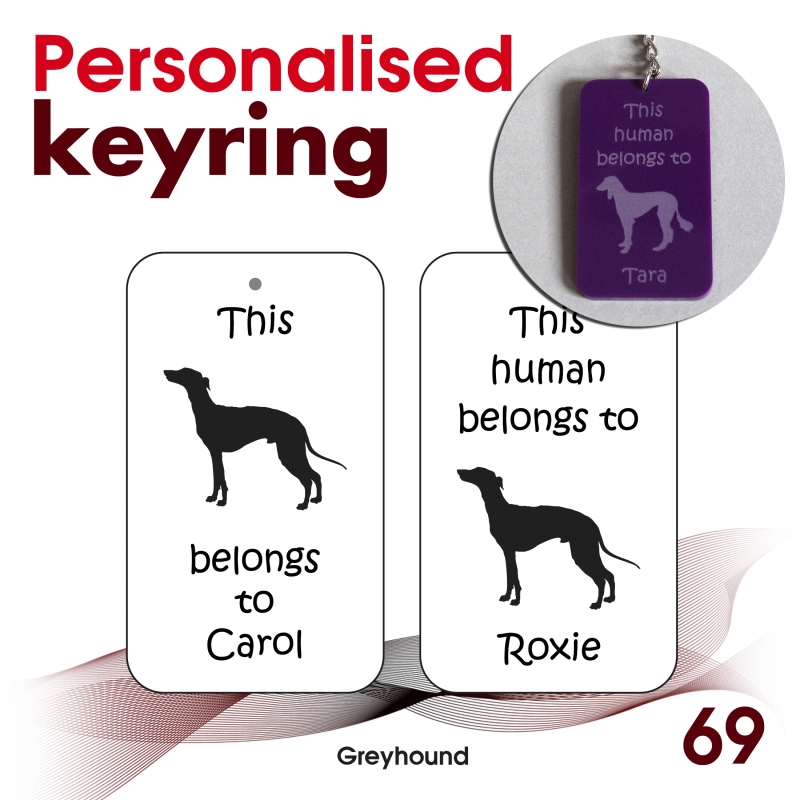 069 - Greyhound