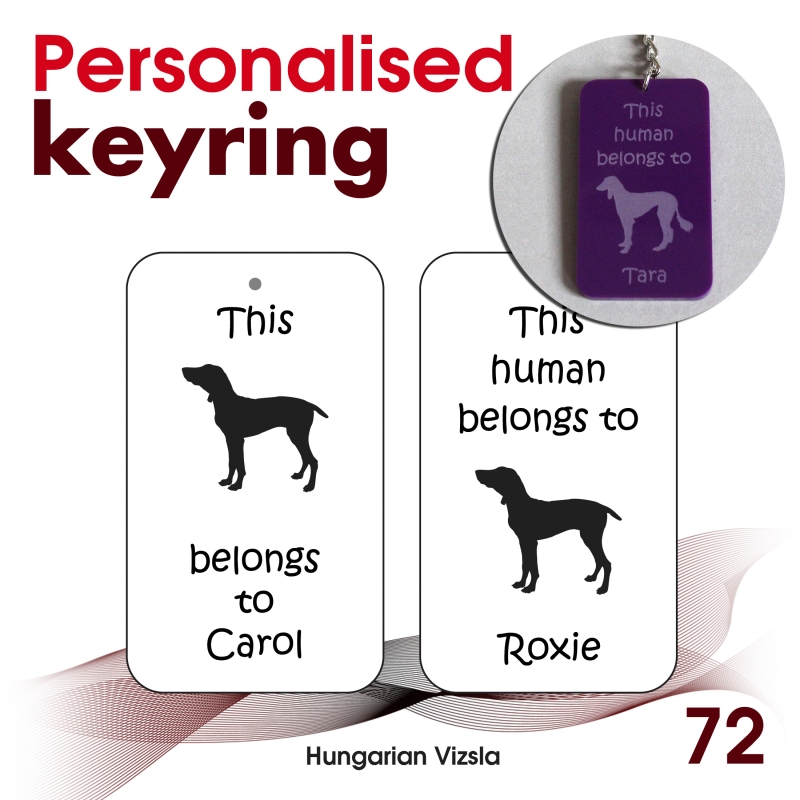 072 - Hungarian Vizsla