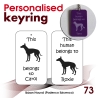 073 - Ibizan Hound (Podenco Ibicenco)