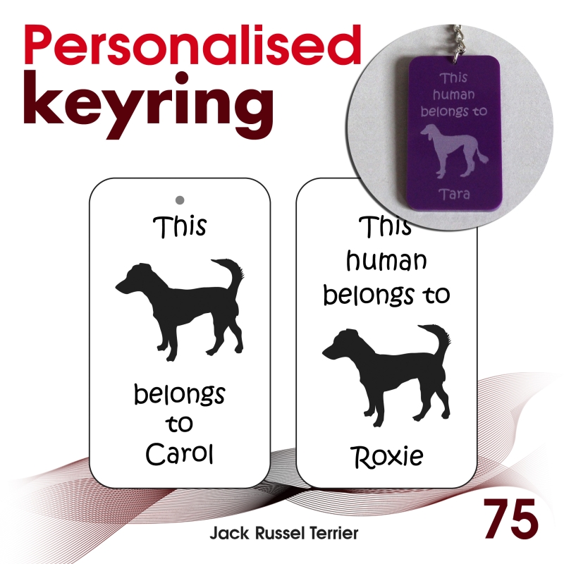 075 - Jack Russel Terrier
