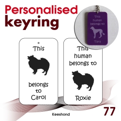 077 - Keeshond