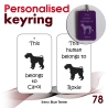 078 - Kerry Blue Terrier