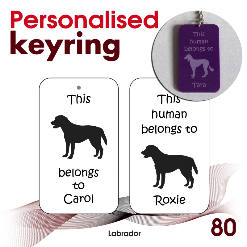080 - Labrador