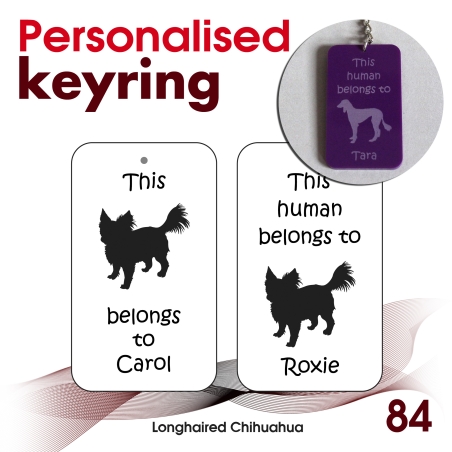 084 - Longhaired Chihuahua