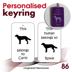 086 - Longhaired Weimaraner