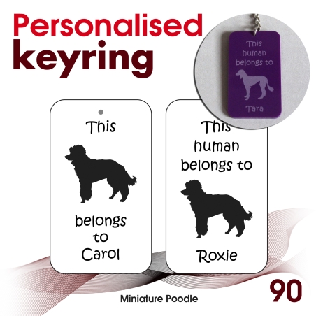 090 - Miniature Poodle