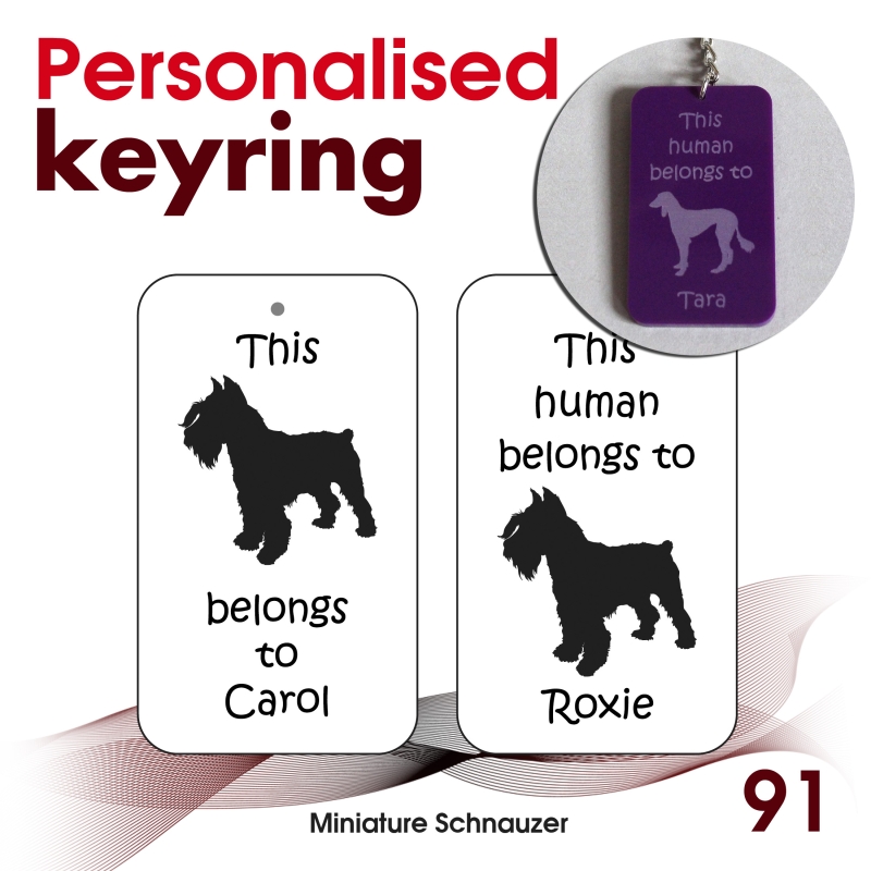 091 - Miniature Schnauzer