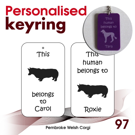 097 - Pembroke Welsh Corgi
