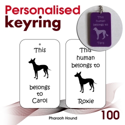 100 - Pharaoh Hound